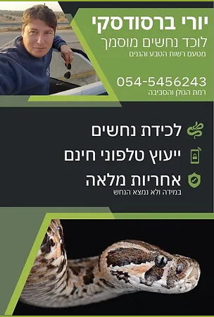 יורי