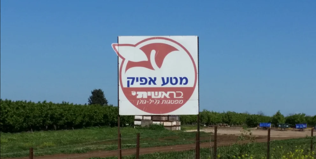 מטע14